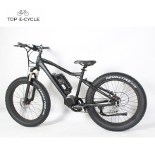 8fun1000w HD mid drive motor fat tire electric bike 2017 2018